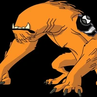 wildmuth 