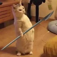 Tác giả xinh gái