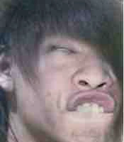 Trương Nguyên Ngu