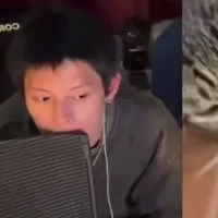| Wǎnyīng | vọ ah Banana Chaos gặm ghế