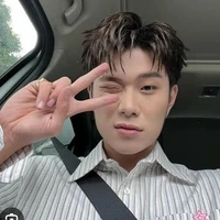 Dương Domic