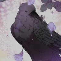con_quạ// crow//