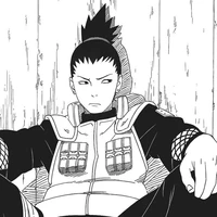 Shikamaru Nara