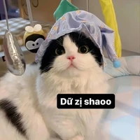 Thầy giáo
