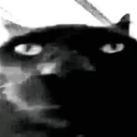 Nghiện Thích Ngọt.