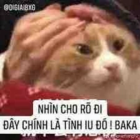 Tác giả khùng điên