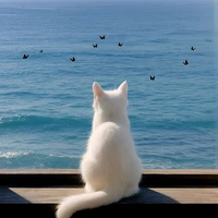 Học sinh lớp 11A1 [nữ]