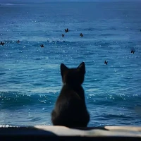 Học sinh lớp 11A1 [nam]