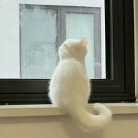 Học sinh lớp 11A1 [nữ]