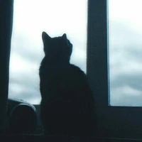 Học sinh lớp 11A1 [nam]