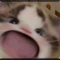 Tg xàm l