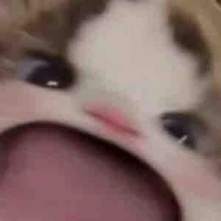 Hệ thống láo l*n ( hay còn gọi là tg í )