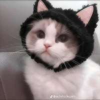 rubi [hệ thống 01]