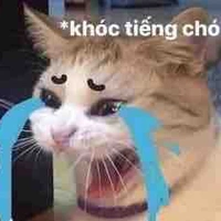 T/g thích yoi bị dduj