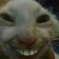 Tất cả mọi người