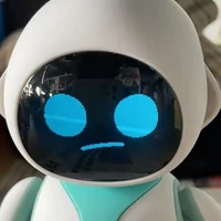 Cam (robot)