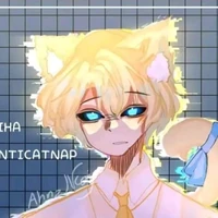 . hiha anticatnap