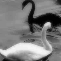 All top(trừ ai thì trừ)