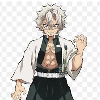 Shinazugawa Sanemi