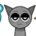 gay