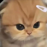 all top + bot chừ ai thì chừ