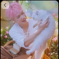 Nguyễn Thái Sơn ( jsol)