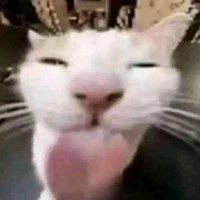 T/g