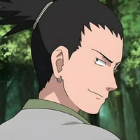 Nara Shikamaru.