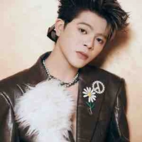 Nguyễn quang anh ( rhyder)