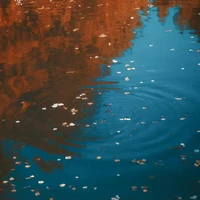 ALL Trụ