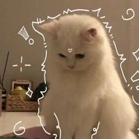 hệ thống dễ thương nè