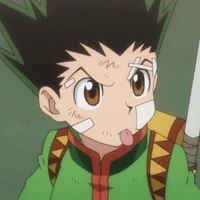 gon freecss