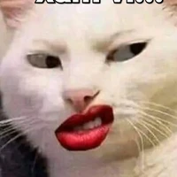 t/g mê h1h4