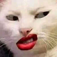 t/g mê h1h4