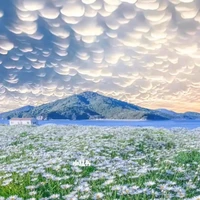 All (trừ ai cũng được hoặc ko) 