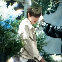 Trần Dịch Hằng - cậu