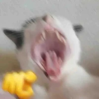 Milkie_Hãy Dừng Lại Và Like Đê