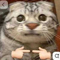 Hệ thống ăn dưa như lồn (tiểu bang)