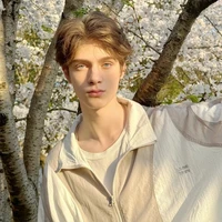 Ethan Williams-Anh trai nữ chính