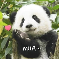 con em t/g (hay cáu)