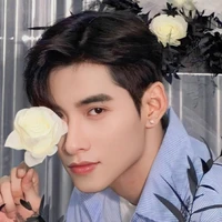 Huỳnh Hoàng Hùng _ Gemmini