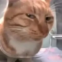 mồm lèo của player