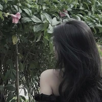 Trần Bảo Trân