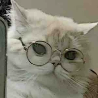 Hệ thống của cả bọn