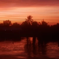 cả đám phản diện