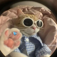 con tác giả umê GJC