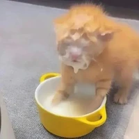 con tác giả khó ưa