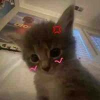 𝙏𝙝𝙤̉ đ𝙪 𝙃𝙚𝙣𝙜𝙍𝙪𝙞