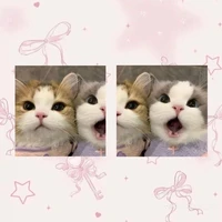 cả lớp