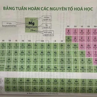 Salmon Williams - t/g